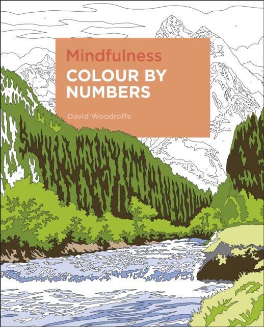 Mindfulness colour by numbers