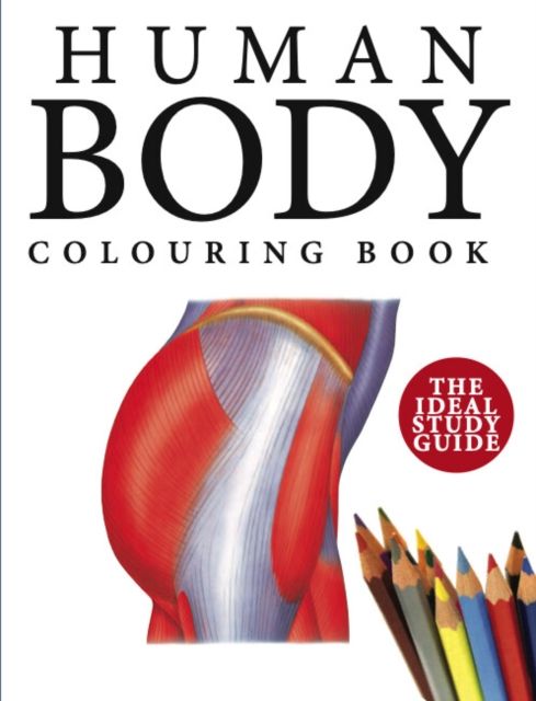 Human body colouring book