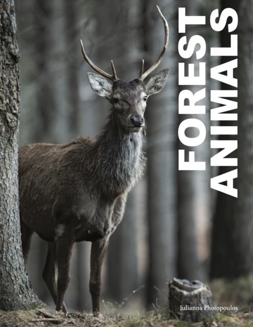 Forest animals