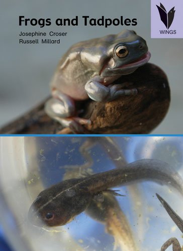 Frogs and tadpoles