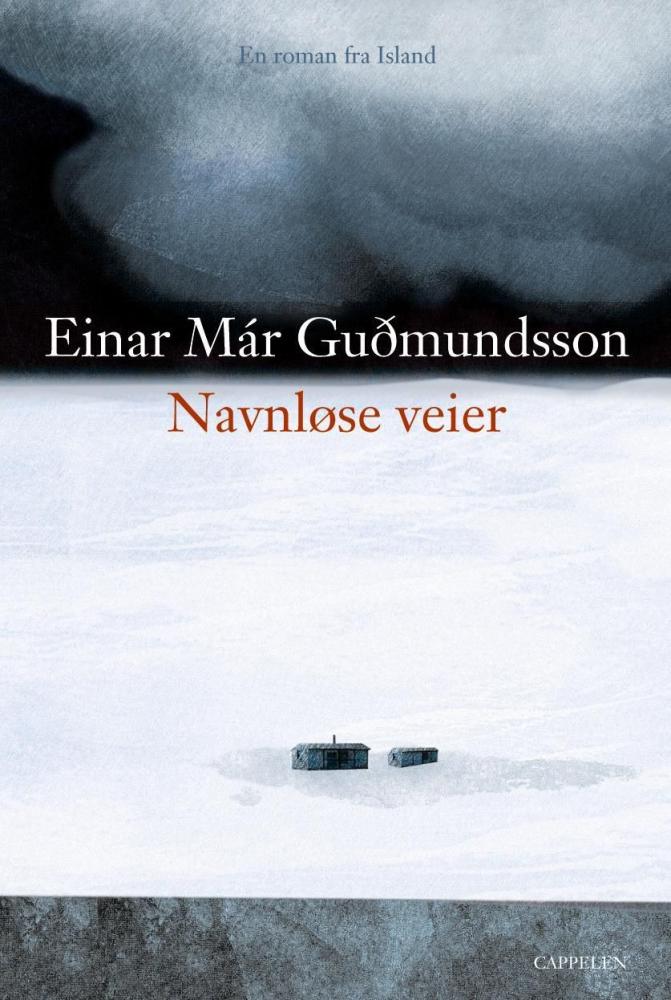 Navnløse veier : roman