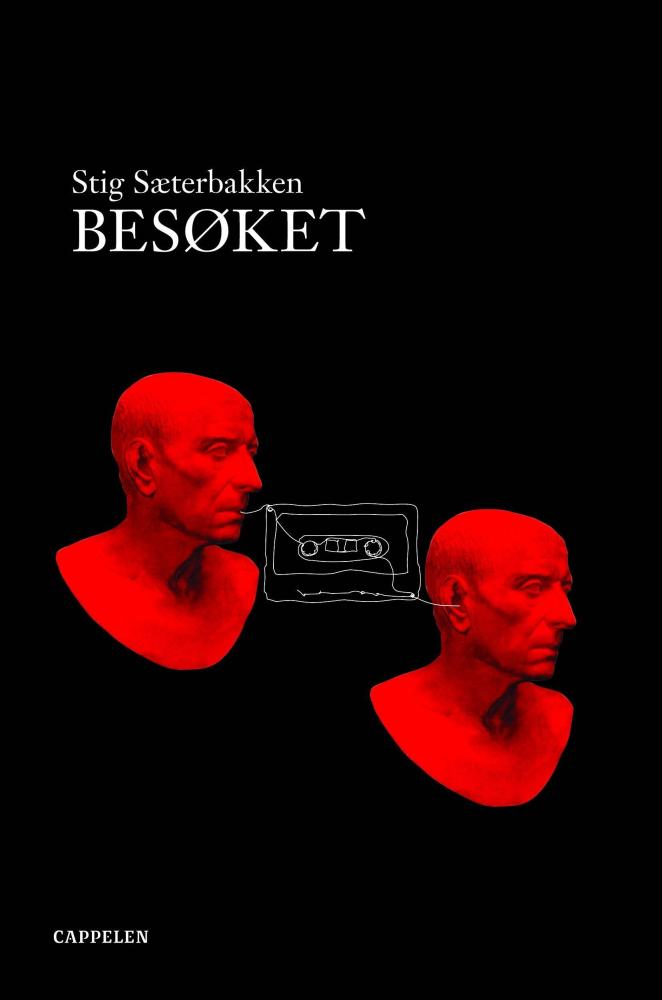 Besøket : roman
