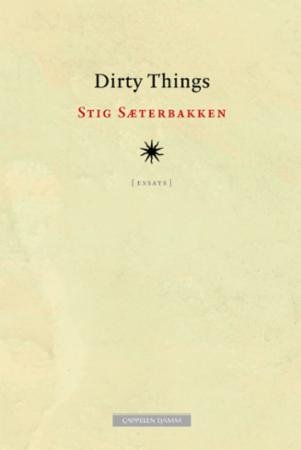 Dirty things : essays