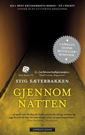 Gjennom natten : roman