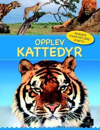 Opplev kattedyr