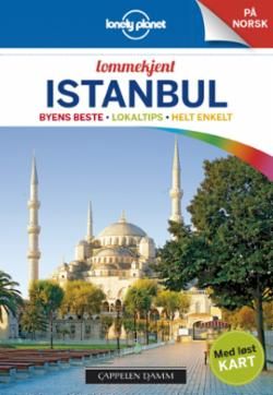 Istanbul : byens beste, lokalkjent, helt enkelt