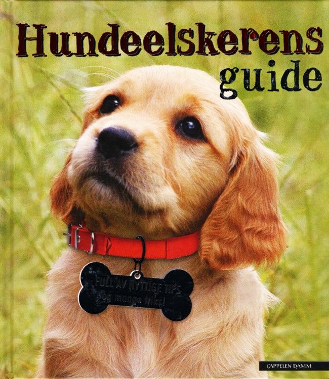 Hundeelskerens guide : full av nyttige tips og masse triks!