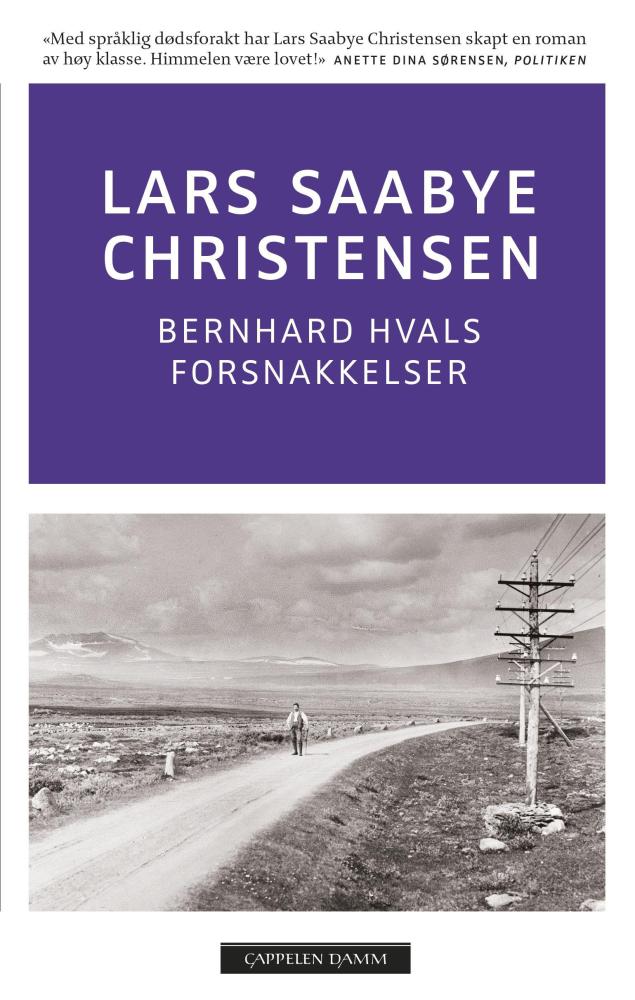 Bernhard Hvals forsnakkelser : roman
