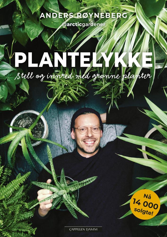 Plantelykke : stell og innred med grønne planter