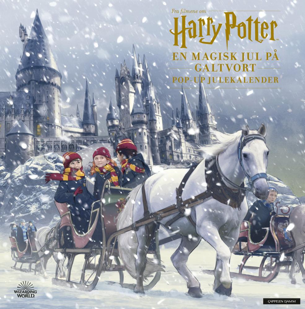 Fra filmen om Harry Potter : en magisk jul på Galtvort