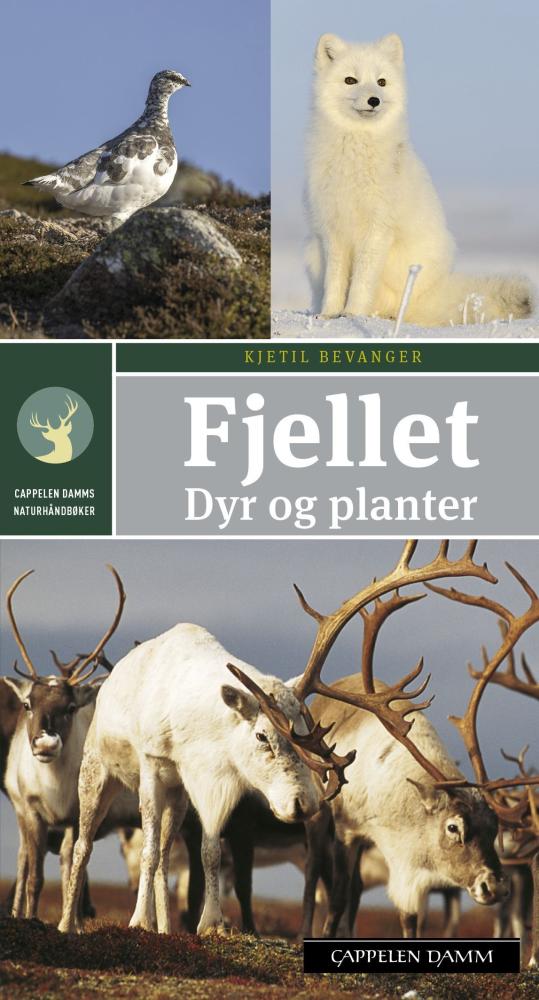 Fjellet : dyr og planter