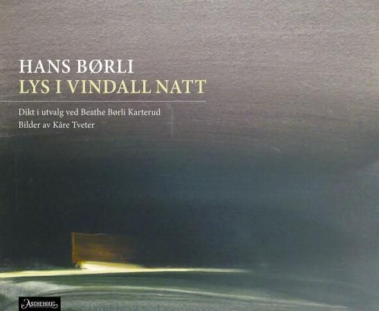 Lys i vindall natt : dikt