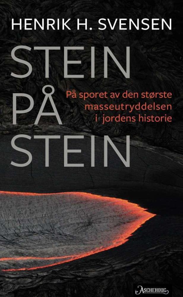 Stein på stein : på sporet av den største masseutryddelsen i jordens historie