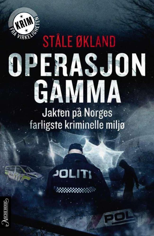 Operasjon Gamma : jakten på Norges farligste kriminelle miljø
