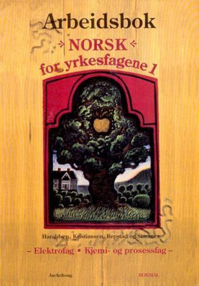 Norsk for yrkesfagene 1 : arbeidsbok : elektrofag, kjemi- og prosessfag, modul 1