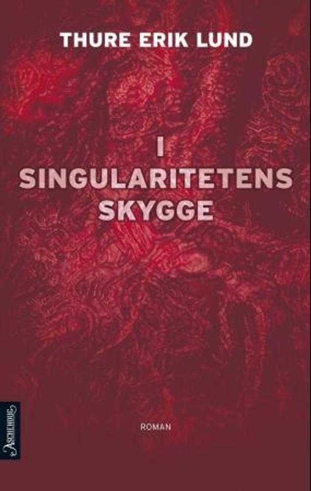 I singularitetens skygge : roman