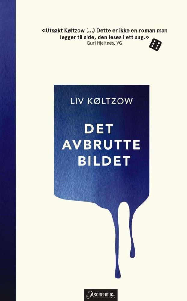 Det avbrutte bildet : roman