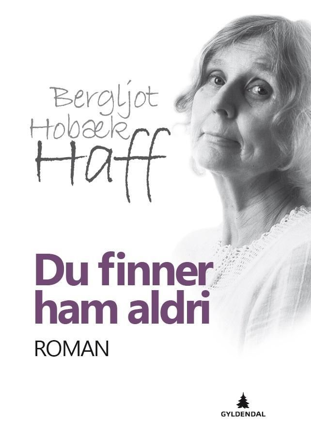 Du finner ham aldri : roman