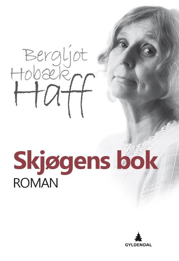Skjøgens bok : roman