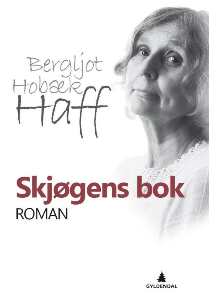Skjøgens bok : roman