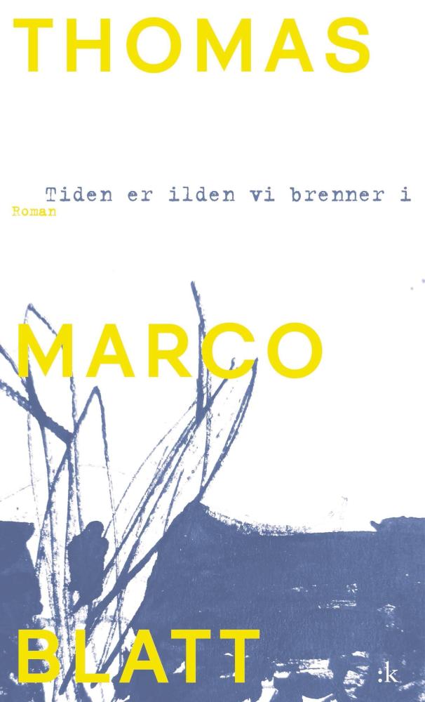 Tiden er ilden vi brenner i : roman