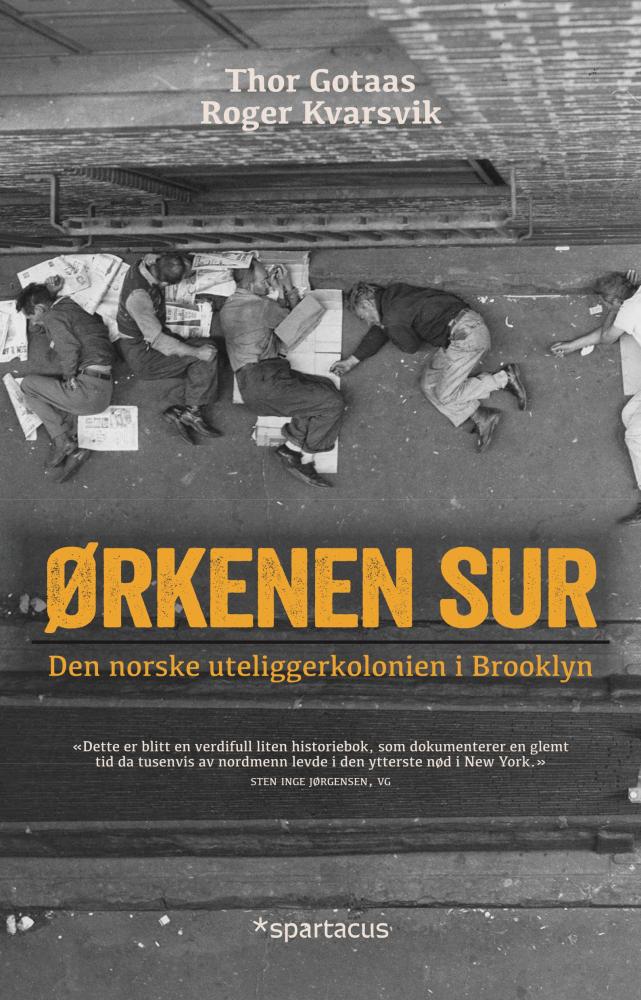 Ørkenen Sur : den norske uteliggerkolonien i Brooklyn