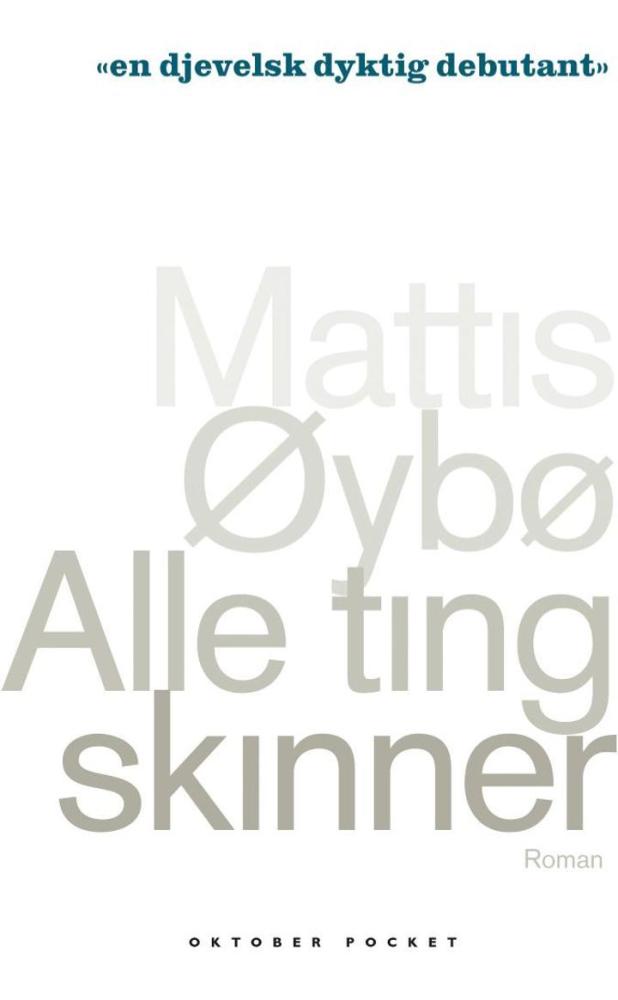 Alle ting skinner : roman