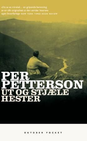 Ut og stjæle hester : roman