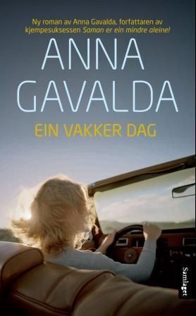 Ein vakker dag : roman