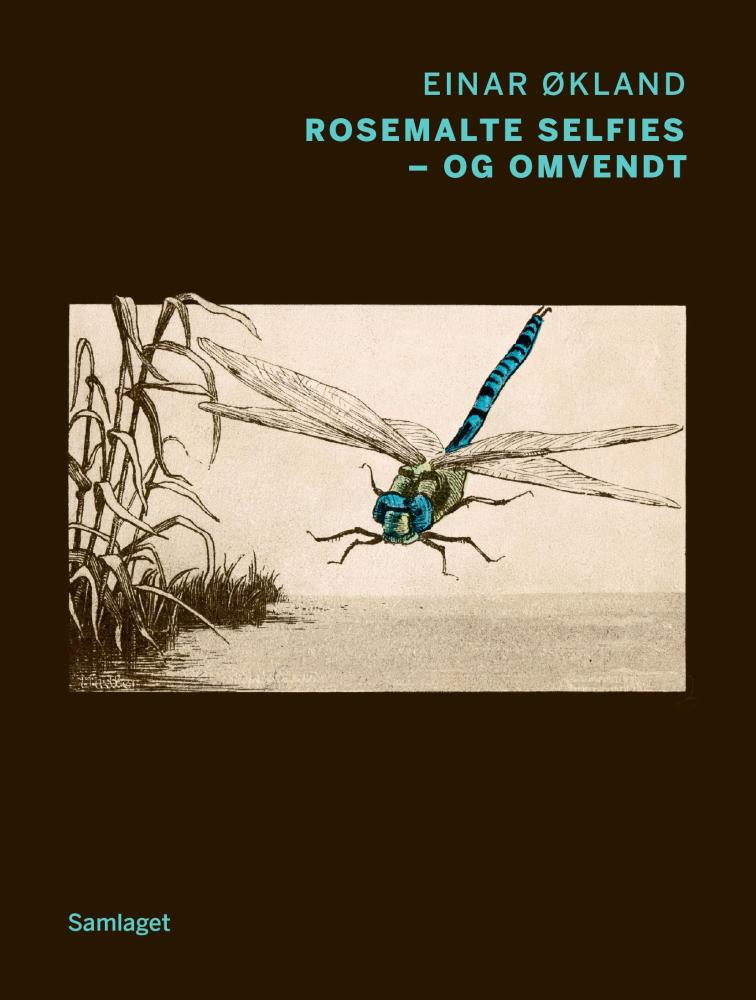Rosemalte selfies - og omvendt : dikt