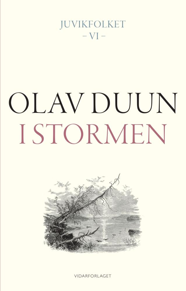 Juvikfolket : roman (Band VI) : I stormen
