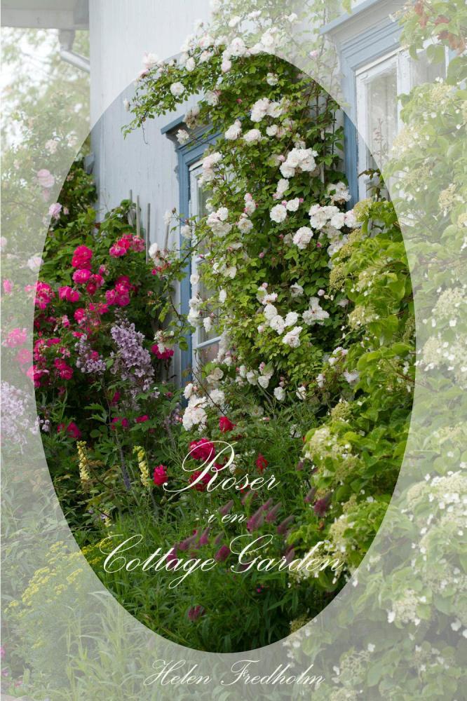 Roser i en cottage garden