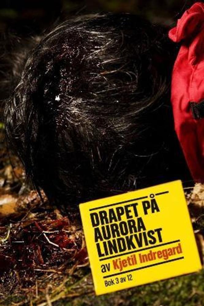Drapet på Aurora Lindkvist : bok 3 : en forbrytelse i tolv bind