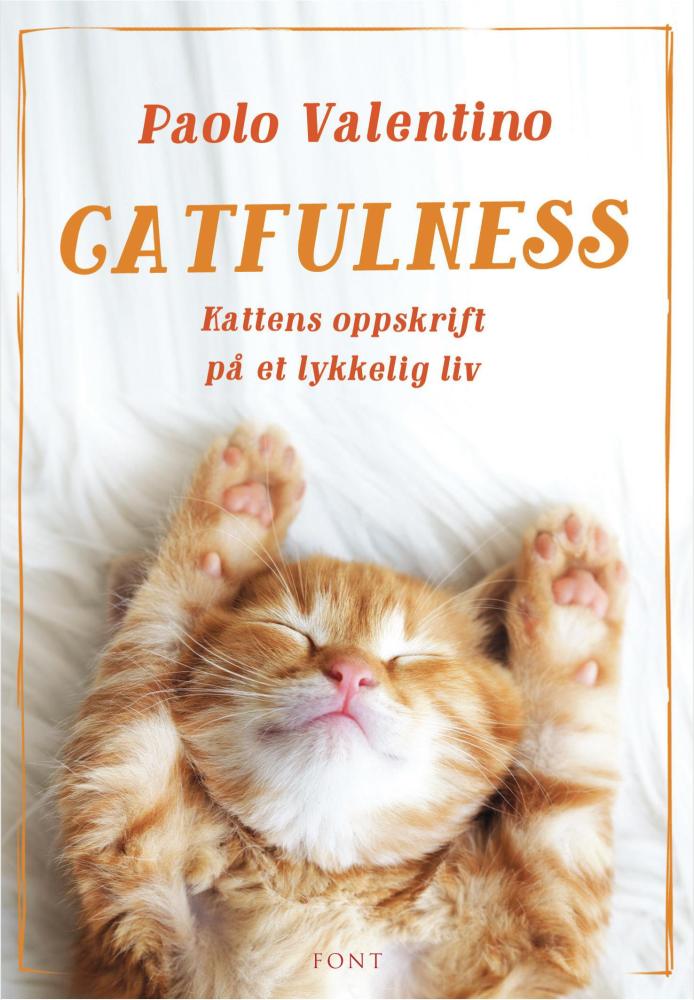 Catfulness : kattens oppskrift på et lykkelig liv