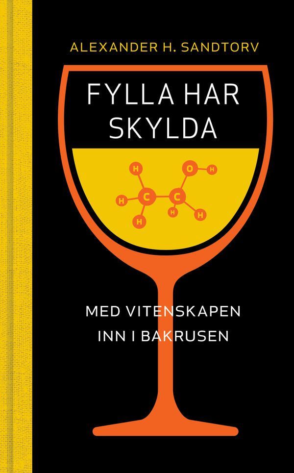 Fylla har skylda : med vitenskapen inn i bakrusen