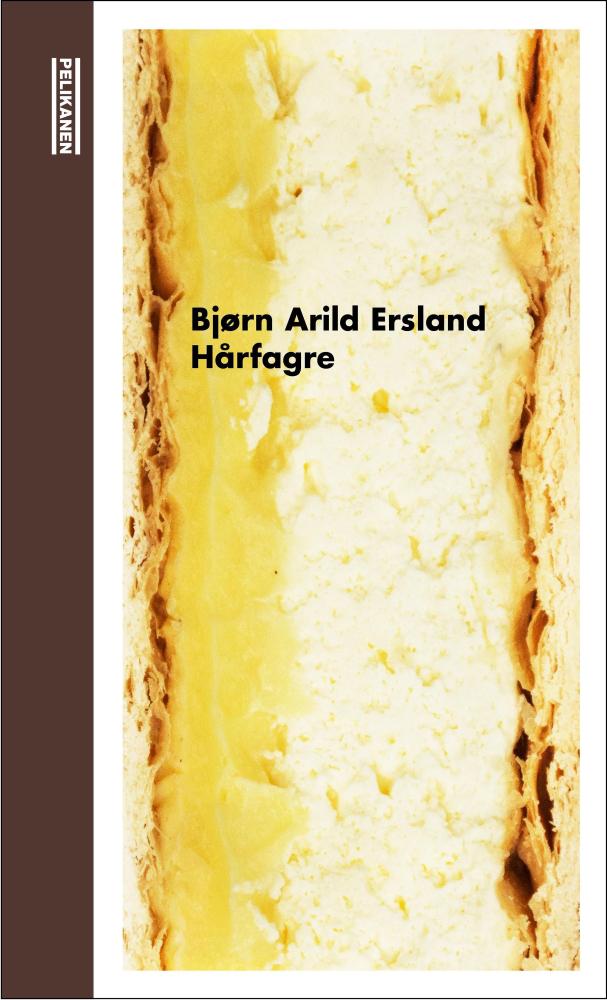 Hårfagre : roman