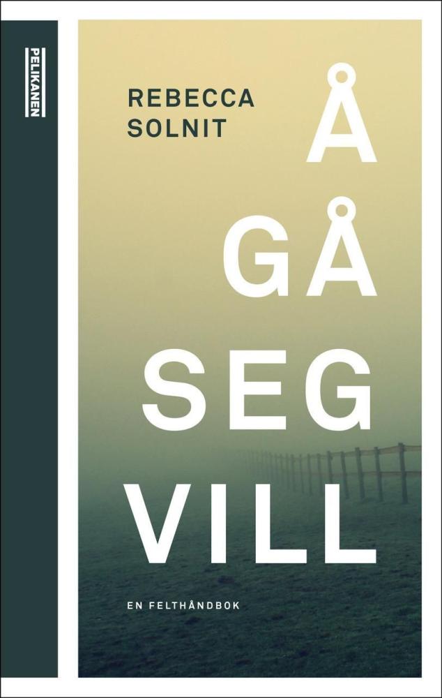 Å gå seg vill : en felthåndbok