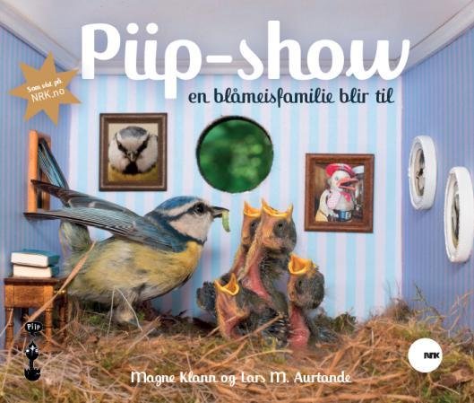 Piip-show : en blåmeisfamilie blir til