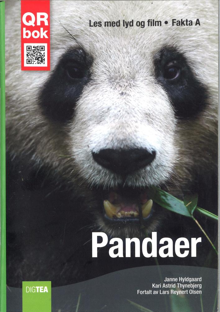 Pandaer