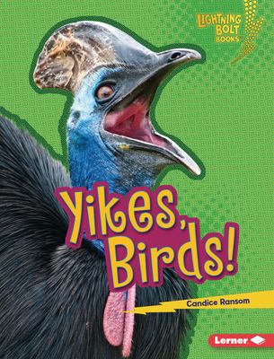 Yikes, Birds!