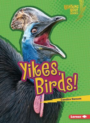 Yikes, Birds!