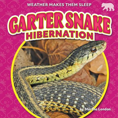 Garter Snake Hibernation