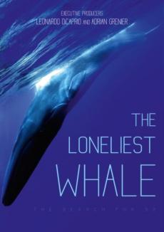 The loneliest whale : the search for 52