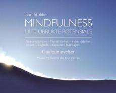 Mindfulness : ditt ubrukte potensiale