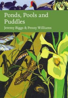 Ponds, pools and puddles