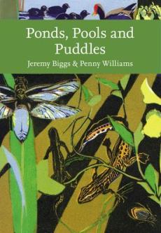 Ponds, pools and puddles