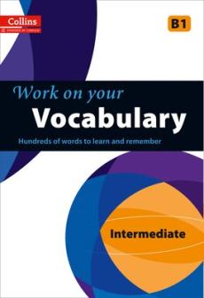 Work on your Vocabulary : B1