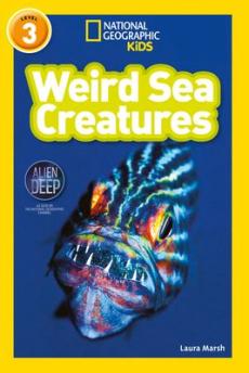 Weird sea creatures