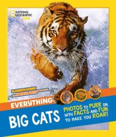 Everything big cats