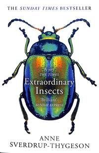 Extraordinary insects : weird, wonderful, indispensable, the ones who run our world